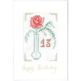 Lifetime Samplers & Decorative Textiles Pink Fizz Birthday Card for Any Age - Complete Cross Stitch kit with All Numbers - for The Pink at Heart
