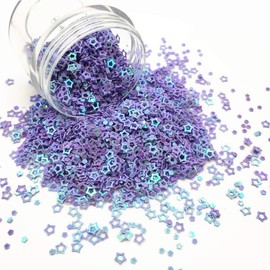 100g Glitter Hollow Star Confetti Sequins Flat PVC Mini Paillettes for Scrapbook Embellishment Cardmaking Jewelry Making Nail Polish Wedding Birthday Party Decorartions (Purple)
