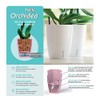 Santino 4.9 Inch ORCHIDEA Self Watering Pots for Orchids in