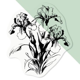 Azeeda 4 x 'Iris Flowers' Clear Sticker Decals – Waterproof Film for Windows, Cars, Walls & Crafts, Small (50mm) (DC00124080)