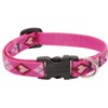 LupinePet Originals 1/2" Puppy Love 10-16" Adjustable Collar for Small