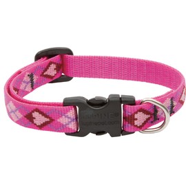 LupinePet Originals 1/2" Puppy Love 10-16" Adjustable Collar for Small Dogs