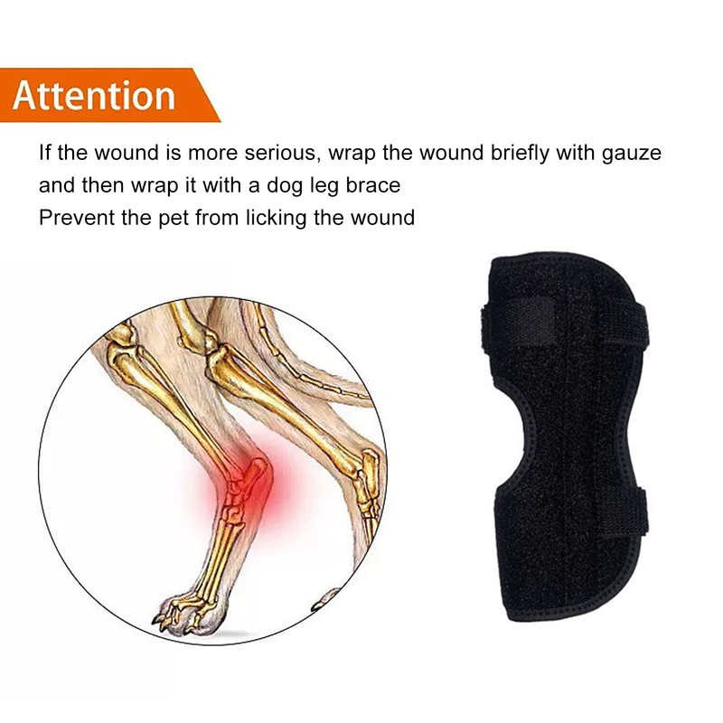 Dog Rear Leg Brace Prevent Licking Fixing Strap Spring Support