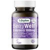 Lifeplan BerryWell Elderberry 3000mg Supplement with Sambucus, Vitamin C +