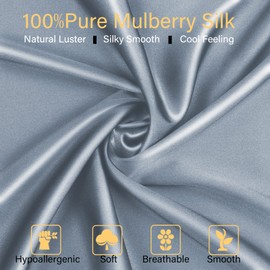 Smbeope 100% Mulberry Silk Pillowcase 2 Pack for Hair and Skin,with Hidden Zipper,Both Sides 22 Momme Natural Silk Pillow Cover,Soft Breathable & Smooth (Air Blue, Queen)