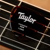 Taylor Premium 346 Thermex Pro Guitar Picks 6PK