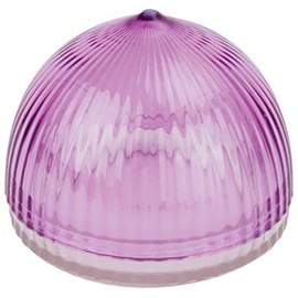 Tulz Canned-and-Jarred-Onions, 4 x 4 x 3.5 inches, Purple, (37051)