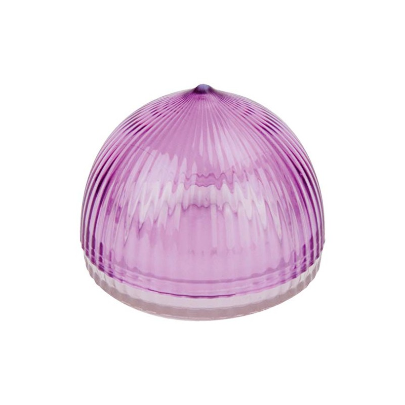 Tulz Canned-and-Jarred-Onions, 4 x 4 x 3.5 inches, Purple, (37051)