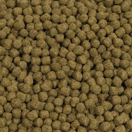 Hikari Economy Staple Koi Food Medium Pellet