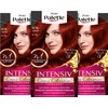 Palette Intensive Creme Colouration Hair Colour, 6-88/678, Ruby Red, Level