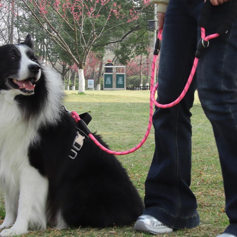 Double Handle Dog Leash 6FT Reflective Rope Lead with Two
