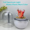 Ronjregan Smart Planter with Timer and Fan, Small Terrarium Kit