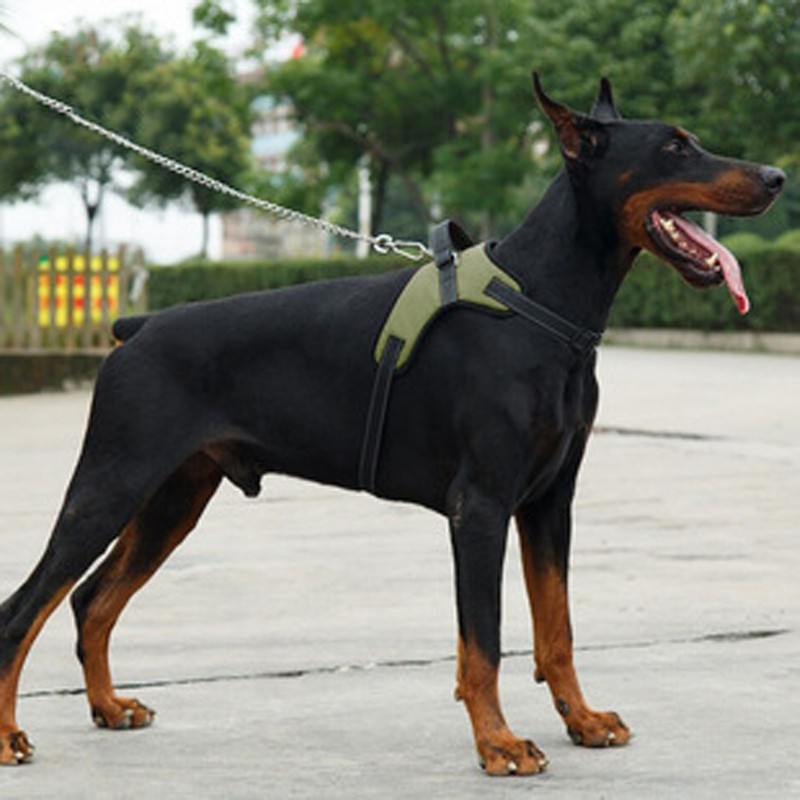 Dog Front Leg Support Sling Portable Breathable Split Auxiliary Chest