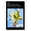 AB1B Gummy Sheet Mask Set, Sedum Hyaluron/Madecassoside/Collagen Milk 10 Sheets,