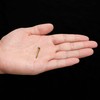 Hardware Philosophy "Pure" Brass Nails, 0.8 Inch, Bag of 100