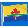 Thunder Bay Flag,3x5 FT Canadian City Thunder Bay Flag,36x60 Inch