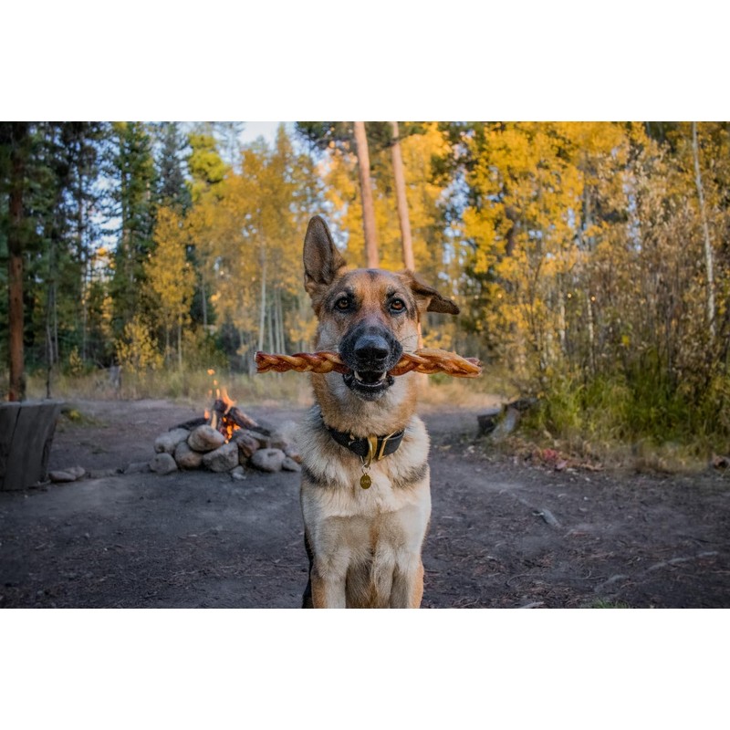 Redbarn 12" Premium Braided Bully Sticks for Dogs - Natural
