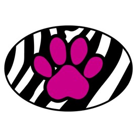 Imagine This Oval Magnet, Zebra Paw, Pink
