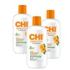 CHI CurlyCare Curl Shampoo, 3 pieces, 355ml / 치 컬리케어 컬 샴푸 CHI CurlyCare Curl Shampoo, 3개, 355ml