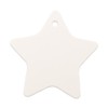 LWR CRAFTS 100 Hang Tags Star with Jute Twines 100ft