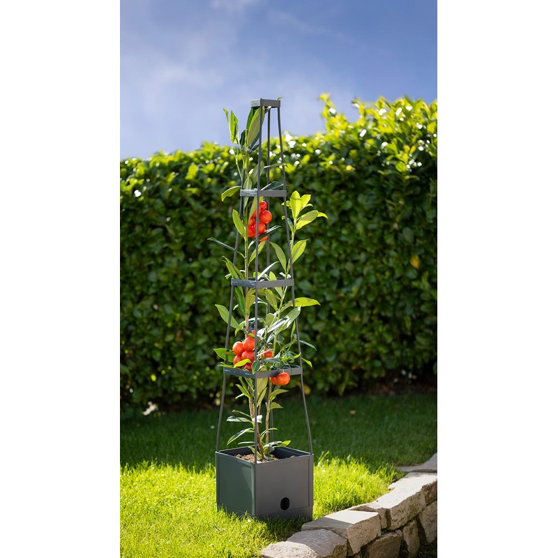 Meister Plant Tower 150 x 25 x 25 cm -
