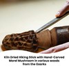 Walking Stick + Morel Mushroom Hunting Stick + Hand Carved
