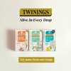 Twinings Superblends Digest Spearmint, Apple & Rooibios with Baobab 20