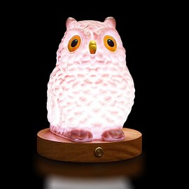 Owl Table Lamp, Dimmable Owl LED Night Light Rechargeable Outdoor Cordless Night Light with Remote Control Portable Touch Control Desk Bedside Lamp for Bedroom Dining Room Office Dorm Garden (L)