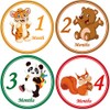 28 Baby Monthly Stickers - First Year - Mount to