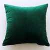 CXTAI 2x Dark Green Velvet Cushion Covers Decorative Square Throw