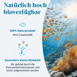 NovaNature® Marine Collagen Powder 300 g - Bioactive Collagen Hydrolysate from Fish Collagen - Unique Solubility, Tasteless