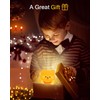 Emmanoth Cute Red Panda Night Light, Rechargeable Nightlight for Kids