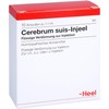 Cerebrum Suis INJEEL 1.1 ml Pack of 10