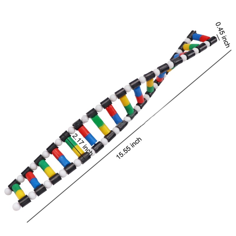 heyous Plastic DNA Double Helix Model Learning Tool Laboratory Instruments