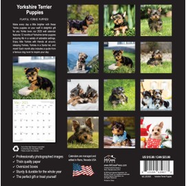 MICASA Yorkshire Terrier Puppies 2025 Wall Calendar 12 Month | 12" x 24" Open | Thick & Sturdy Paper | Giftable | Calendar 2025