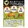馬プラセンタ72000 お徳用360粒 北海道サラブレット胎盤使用 1日目安/4粒 約3ヶ月分 1袋当たり馬生胎盤 約72,000mg相当配合