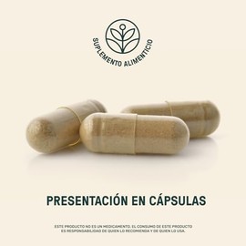 LIFE 360+ Colágeno Hidrolizado | 220 Cápsulas | 1320 Miligramos por Porción | Biotina, Vitaminas A, C y E, Ácido Hialurónico y Fólico | Collagen Vitamins