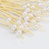 Cocktail Picks for Appetizers, Toothpicks for Appetizers, 100PCS White Cocktail