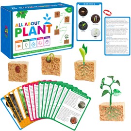 15 Plant Life Circle Flashcards with 4 Plastic Figurines-Seed to Plant, Plants Introduction Card Plants Growth Details for Nature Lovers & Adults, Montessori Toy for Kids
