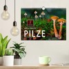 Mushrooms - Little Giants (Wall Calendar 2025 DIN A4 Landscape),