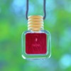 CANVAS Beauty Car Diffuser (Pick Your Scent):_Drunken Peach