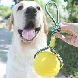 FANGHUIER Dog Rope Ball Ball on a Rope Dog Toy Natural Elastic Rubber Dogs Balls Chew Toys for Small Dogs (9cm)