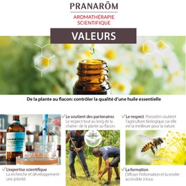 Pranarôm Bio Essential Oil Cineole Rosemary (Rosmarinus officinalis CT cineole) 10 ml