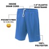 Popfunk Looney Tunes Road Runner Mens Lined Mesh Shorts, Royal,