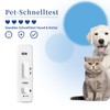 BELABB® Giardien Quick Test for Dogs and Cats, 3 Tests