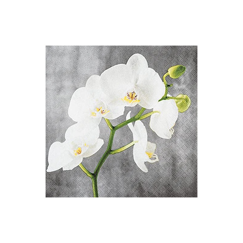 20 Small Cocktail Napkins White Orchid Flowers Timeless Table Decoration
