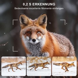 HAZACAM Wildlife Camera, 1080P Wildlife Cameras, LCD Screen with Video Wildlife Camera with Motion Sensor, Night Vision, Outdoor Night Vision Camera, Recording Animals, Animal Observation Camera,