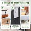 BugMD Bed Bug Trap (1 Pack, 12 Traps) - Interceptors,