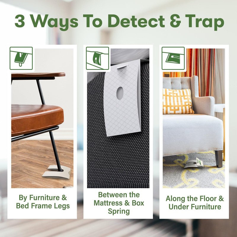 BugMD Bed Bug Trap (1 Pack, 12 Traps) - Interceptors,