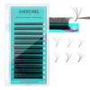 Cashmere Volume Eyelashes, 6DW Prefabricated Eyelash Extension, Fast Blooming Volume